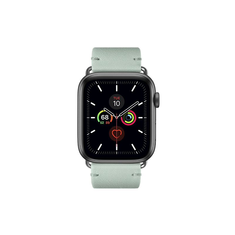 AppleStrapFront_sage_1fd77dfa-dbb0-4e77-8fca-f5ee444be2a4.png