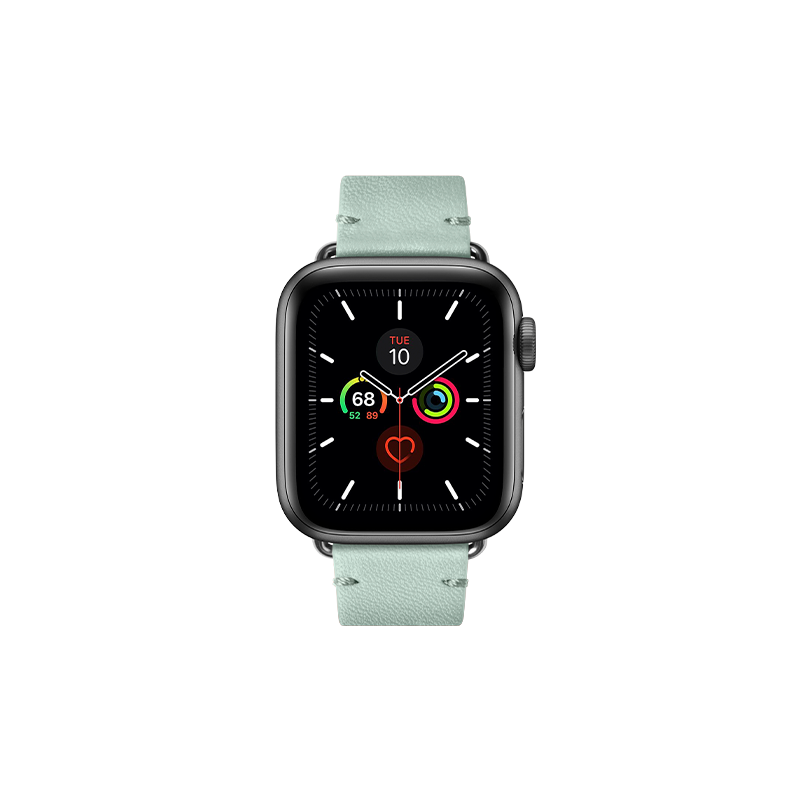AppleStrapFront_sage_62ecd6c3-912c-4065-a0fb-b0ea52826e06.png