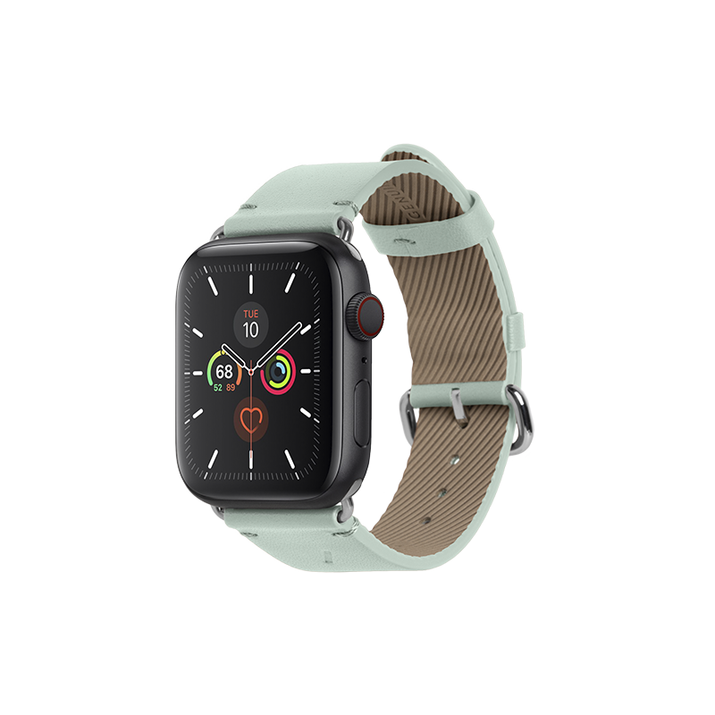 AppleStrapSide_sage_48143a54-29da-4d52-942b-bec6e8e5124c.png
